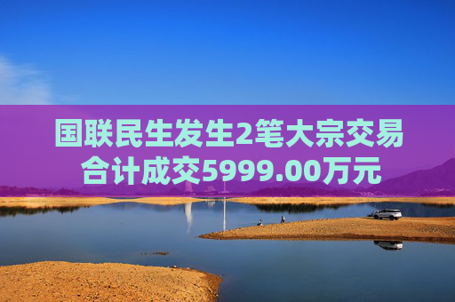 国联民生发生2笔大宗交易 合计成交5999.00万元  第1张