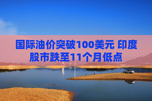 国际油价突破100美元 印度股市跌至11个月低点