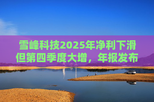 雪峰科技2025年净利下滑但第四季度大增，年报发布后控股股东大额增持