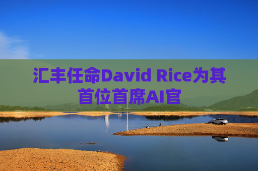 汇丰任命David Rice为其首位首席AI官