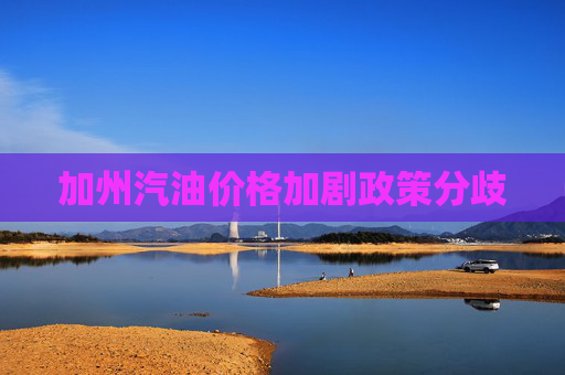 加州汽油价格加剧政策分歧