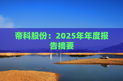 帝科股份：2025年年度报告摘要  第1张