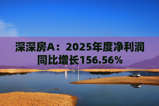 深深房A：2025年度净利润同比增长156.56%