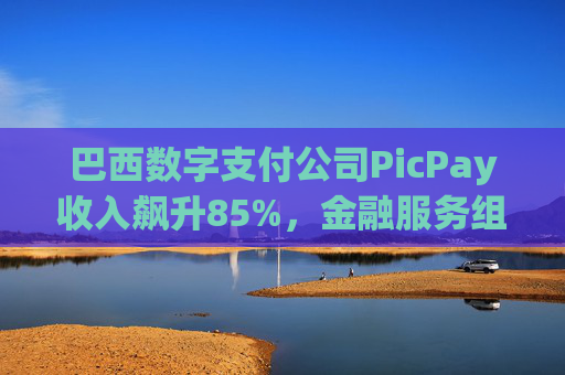巴西数字支付公司PicPay收入飙升85%，金融服务组合持续扩大