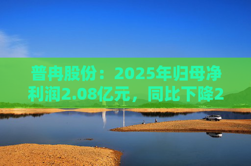 普冉股份：2025年归母净利润2.08亿元，同比下降29.03%