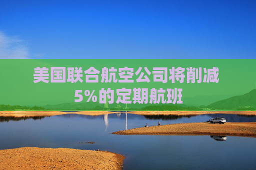 美国联合航空公司将削减 5%的定期航班  第1张