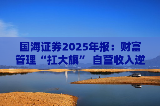 国海证券2025年报：财富管理“扛大旗” 自营收入逆势大降 投行收入占比仅2%