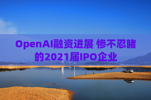 OpenAI融资进展 惨不忍睹的2021届IPO企业