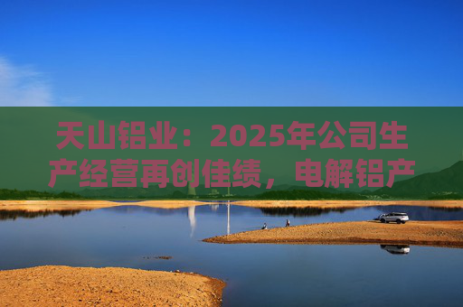 天山铝业：2025年公司生产经营再创佳绩，电解铝产量、氧化铝产量等再创历史新高