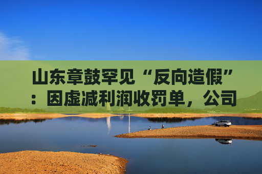 山东章鼓罕见“反向造假”:因虚减利润收罚单,公司将被ST 第1张 山东章鼓罕见“反向造假”:因虚减利润收罚单,公司将被ST 第1张