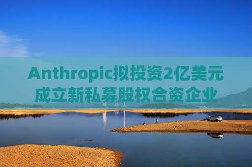 Anthropic拟投资2亿美元成立新私募股权合资企业