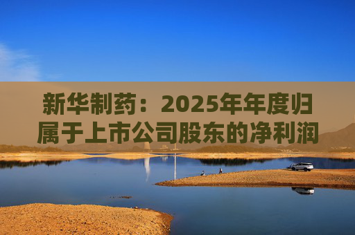 新华制药：2025年年度归属于上市公司股东的净利润是289888855.00元  第1张
