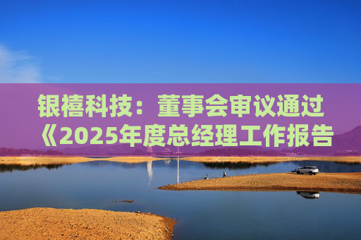 银禧科技：董事会审议通过《2025年度总经理工作报告》等多项议案  第1张