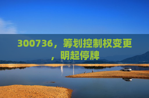 300736，筹划控制权变更，明起停牌  第1张