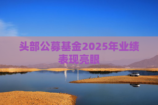 头部公募基金2025年业绩表现亮眼