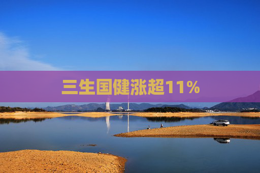 三生国健涨超11%