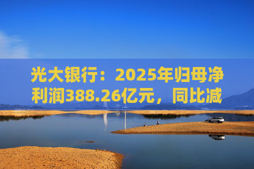 光大银行：2025年归母净利润388.26亿元，同比减少6.88%  第1张