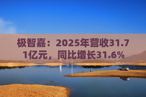 极智嘉：2025年营收31.71亿元，同比增长31.6%