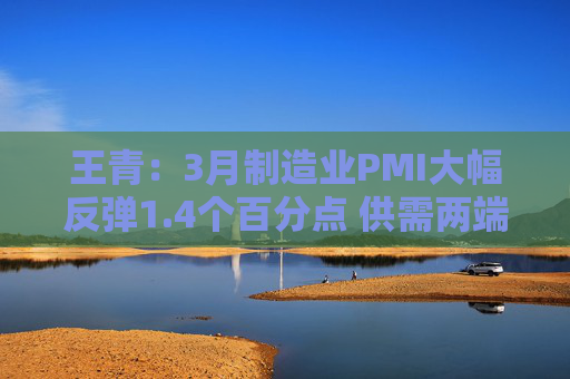 王青：3月制造业PMI大幅反弹1.4个百分点 供需两端明显改善｜首席读数据  第1张
