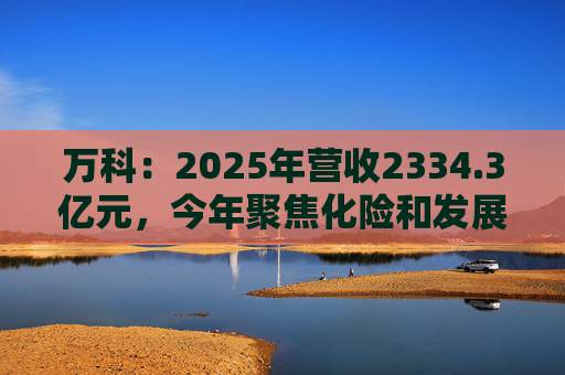 万科：2025年营收2334.3亿元，今年聚焦化险和发展两大主题