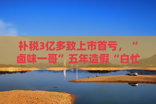 补税3亿多致上市首亏，“卤味一哥”五年造假“白忙活”？