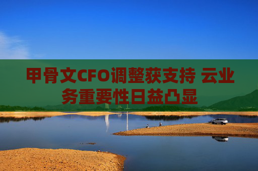 甲骨文CFO调整获支持 云业务重要性日益凸显