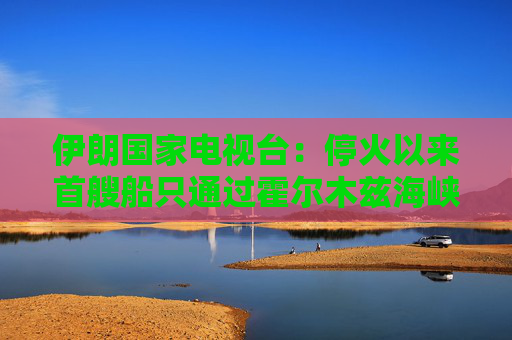伊朗国家电视台：停火以来首艘船只通过霍尔木兹海峡