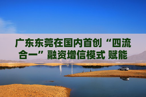 广东东莞在国内首创“四流合一”融资增信模式 赋能地方特色产业高质量发展