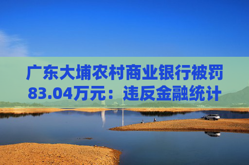 广东大埔农村商业银行被罚83.04万元：违反金融统计管理相关规定等