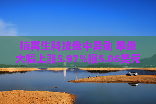 脑再生科技盘中异动 早盘大幅上涨5.97%报5.06美元