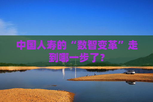 中国人寿的“数智变革”走到哪一步了？