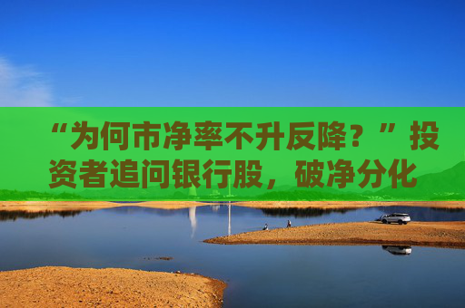 “为何市净率不升反降?”投资者追问银行股,破净分化何解 第1张 “为何市净率不升反降?”投资者追问银行股,破净分化何解 第1张