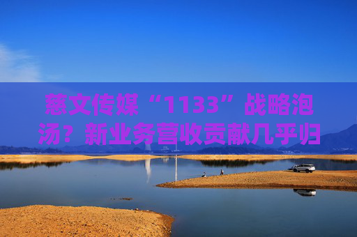 慈文传媒“1133”战略泡汤？新业务营收贡献几乎归零 净利由盈转亏 毛利率跌破5%创历史最低