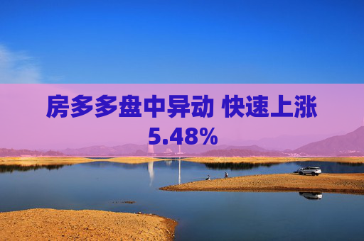 房多多盘中异动 快速上涨5.48%  第1张