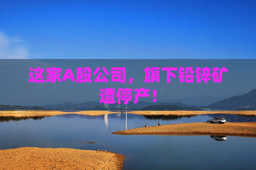 这家A股公司，旗下铅锌矿遭停产！