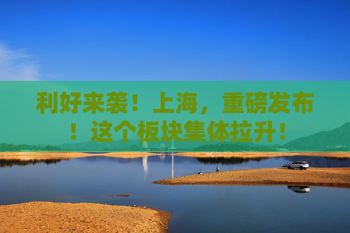 利好来袭！上海，重磅发布！这个板块集体拉升！