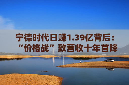 宁德时代日赚1.39亿背后：“价格战”致营收十年首降，储能出海拉高利润水平  第1张