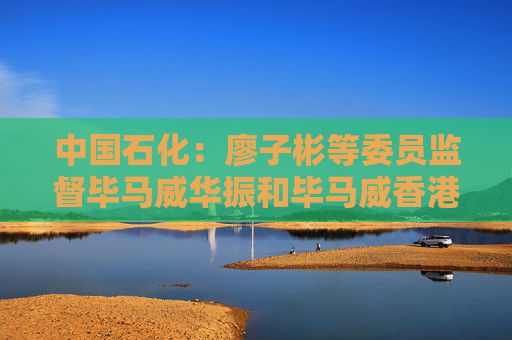 中国石化：廖子彬等委员监督毕马威华振和毕马威香港2024年度履职情况