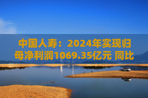中国人寿：2024年实现归母净利润1069.35亿元 同比增长108.9%  第1张