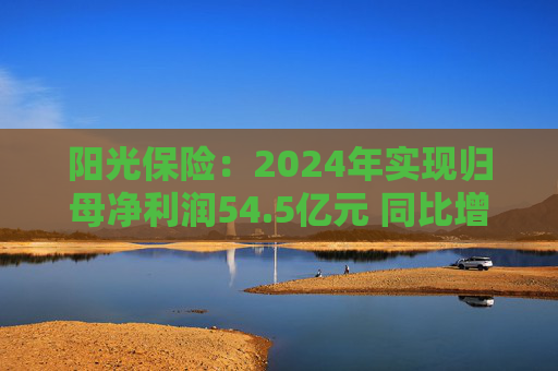 阳光保险：2024年实现归母净利润54.5亿元 同比增长45.8%  第1张