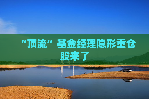 “顶流”基金经理隐形重仓股来了