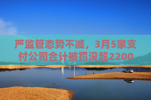 严监管态势不减，3月5家支付公司合计被罚没超2200万元，盛迪嘉支付月内二领罚单