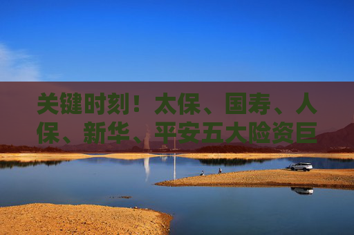 关键时刻！太保、国寿、人保、新华、平安五大险资巨头积极响应