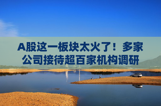 A股这一板块太火了！多家公司接待超百家机构调研