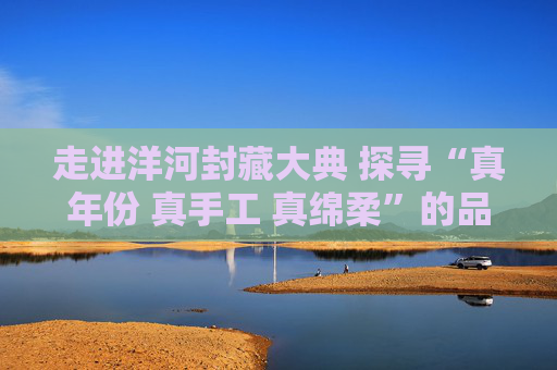走进洋河封藏大典 探寻“真年份 真手工 真绵柔”的品质密码