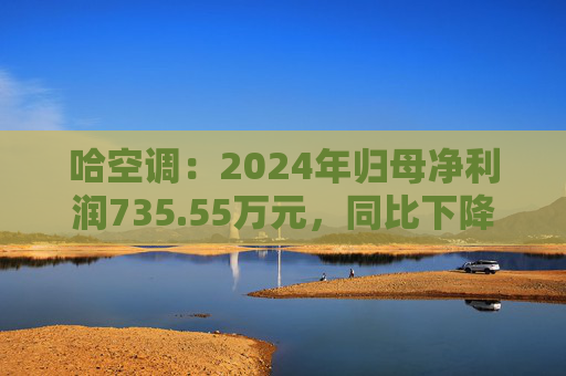 哈空调：2024年归母净利润735.55万元，同比下降65.53%