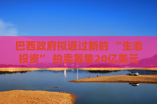 巴西政府拟通过新的 “生态投资” 拍卖筹集20亿美元资金