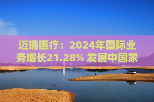 迈瑞医疗：2024年国际业务增长21.28% 发展中国家成重要增长引擎