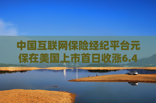 中国互联网保险经纪平台元保在美国上市首日收涨6.4%