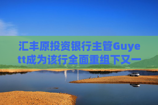 汇丰原投资银行主管Guyett成为该行全面重组下又一位离职的高管